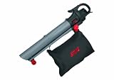 Skil F0150790AA Laubsauger und gebl&auml;se, 2.800 Watt