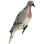 Expedite Decoy Clip-on Dove Md: 81418-5