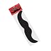 Giant Mustache Magnet