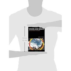 Vision and Brain: How We Perceive the World (MIT Press)