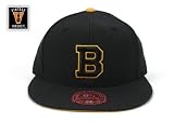 Boston Bruins