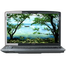 Acer Aspire 6920-6422 16-inch Laptop (2.5 GHz Intel Core 2 Duo T9300 Processor, 4 GB RAM, 250 GB Hard Drive, Vista Ultimate)
