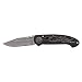 Harley Davidson FLAMING LEGEND II - BLACK