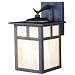 Honey Opalescent Glass 11 1/2" High Outdoor Wall Light