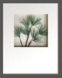 �s���[�t�A�[�g�tHana concept frame Pine pick II�i��2�j
