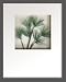 �s���[�t�A�[�g�tHana concept frame Pine pick II�i��2�j