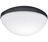 Hunter Fan 26167 Tribeca Light Kit (For Use with Tribeca Fans Only) Graphite