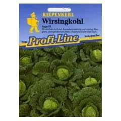 Wirsing Saga
