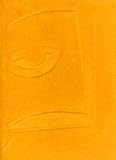 The looking book : a pocket history of Circle Press 1967-96