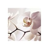 Architectural Orchids by Unknown. Size 10.63 inches width by 10.51 inches height. High Quality Art Poster Print