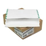 QUALITY PARK PRODUCTS / QUAR4460 / Tyvek Open Side Exp Envelopes, Hvywt,1st Cl,10 x 15 x 2,White,100/carton / Sold as 1 CT