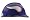Minnesota Vikings