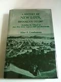A History of New Lots, Brooklyn to 1887: Including the villages of East New York, Cypress Hills, and Brownsville (Empire State Historical Publications series)