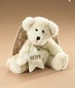 Boyd's Bears Hope Plush Bear 2008 Introduction 903180