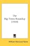 The Big-Town Roundup (1920)
