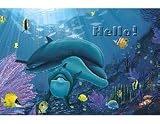 WY HELLO POSTCARDS