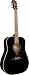 Alvarez RD010BK Regent Series Dreadnought Acoustic Guitar Black