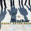 Desert After Rain