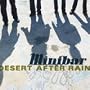 Desert After Rain