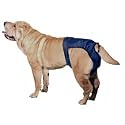 SnuggEase Washable Dog Diaper - XXX-large