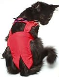 Joybies Red Piddle Pants for Small Cat (Measuring 13"15" Along Back From Collar to Base of Tail)