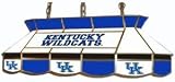 Kentucky Stained Glass Teardrop Light - NCAA Team