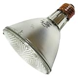 GE 14940 50-Watt PAR30L Edison Halogen Spotlight