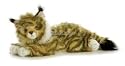 Plush Maine Coon Flopsie 12"