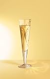 Champagne Glass, Champus, Reeds, Designer Gold and Silver Champagne Flute w/ Napkin in Gift Box