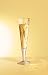 Champagne Glass, Champus, Reeds, Designer Gold and Silver Champagne Flute w/ Napkin in Gift Box