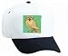 White Cap with noctua, athene, owl, bird