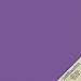 25 Bright Purple Cardstock 65lb Cover Paper 12