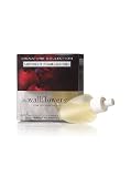 Bath and Body Works Signature Collection Midnight Pomegranate Wallflower Home Fragrance Refill Set