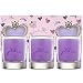 Vera Wang Princess Votive Candle Set Image
