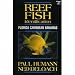 Reef Fish Identification - Florida Caribbean Bahamas