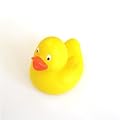 rubber duck ( 4 ducks)