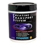 Creatine Transport System-Dymatize Creatine, Fruit Punch 2lb