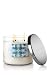 Bath & Body Works Slatkin and Co. Three Wick 14.5 Oz. Scented Candle - Winter