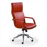 Executive Office Chair 