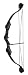 Petron Light Adult Compound Bow Archery Kit - Black