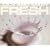 COMPLETE BEST ALBUM �uFRESH�v (1�������Ԑ��Y�����DVD�t)