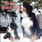 Bernese Mountain Dogs 2009 Wall Calendar