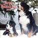 Bernese Mountain Dogs 2009 Wall Calendar