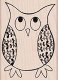 Curious Owl Wood Mounted Stamp (Hero Arts)