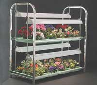 Value Line Stand - Four 48" 2-lamp Fixtures
