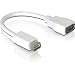 DeLOCK Adapter cable DVI mini Mac male > HDMI female