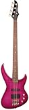 Acoustic Bass Guitars