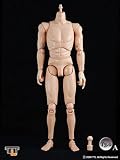 1/6フィギュア素体 T3.0 男性 ボディ（コーカシアン） 単品イメージ