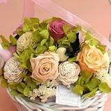 �y���j���E�L�O���E�a�����E�t�����[�M�t�g�E�o���z �J���g���[�e�B�X�g�z���C�g�o�X�P�b�g�@�؂������@�i�v���U�[�u�h�t�����[�j