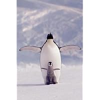 Penguin and Chick Art Print Poster - 24x36